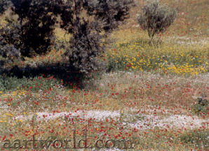 Hydra - impressionist scene in olive grove