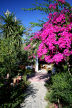 Kalymnos - the amazingly luxuriant garden of Harry's Restaurant and Appartments in Emborios