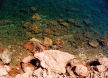 clear waters of the Aegean ..... from the cliff top