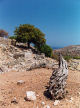 Tilos - wood sculpture by local ants, below the abandonned village of Mikro Horio