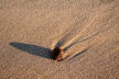 pebble, sea sculpted sand, and low winter sun, Gower coast