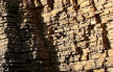 detail of the western cliff at Nash Point