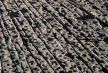 detail of rocky foreshore as seen from the top of the cliff