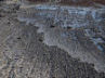 detail of rocky foreshore as seen from the top of the cliff