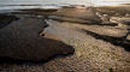 detail of rocky foreshore as seen from the top of the cliff