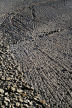 detail of rocky foreshore as seen from the top of the cliff