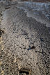 detail of rocky foreshore  as seen from the top of the cliff