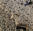 rocky foreshore - the wave-cut platform of the Glamorgan coast