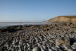 'cobbles' of the wave cut platform at Southerndown