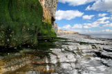 looking East at the moss covered cliff near St Donat's