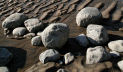 detail at the boundary between the rocky foreshore and the sand