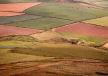 landscape texture on Carn Perfedd from Carn Penberry