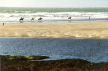 Newport Pembs:  looking across Newport Sands from Parrog - with horse riders