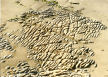 wave-cut paltform half covered with sand, Pembrokeshire