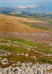 The flank of Carn Ingli towards Dinas Head