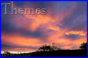 click to view Home Page of photographic themes