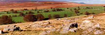 mountain top, moorland and pasture, Garn Wen, southern tip of Brecon Beacons National Park