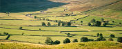 pasture on the floor of the Great Langdale valley