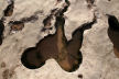 pot-holes in limestone rocks on the beach