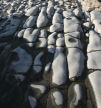 'cobbles' of wave-cut platform, Glamorgan Heritage Coast